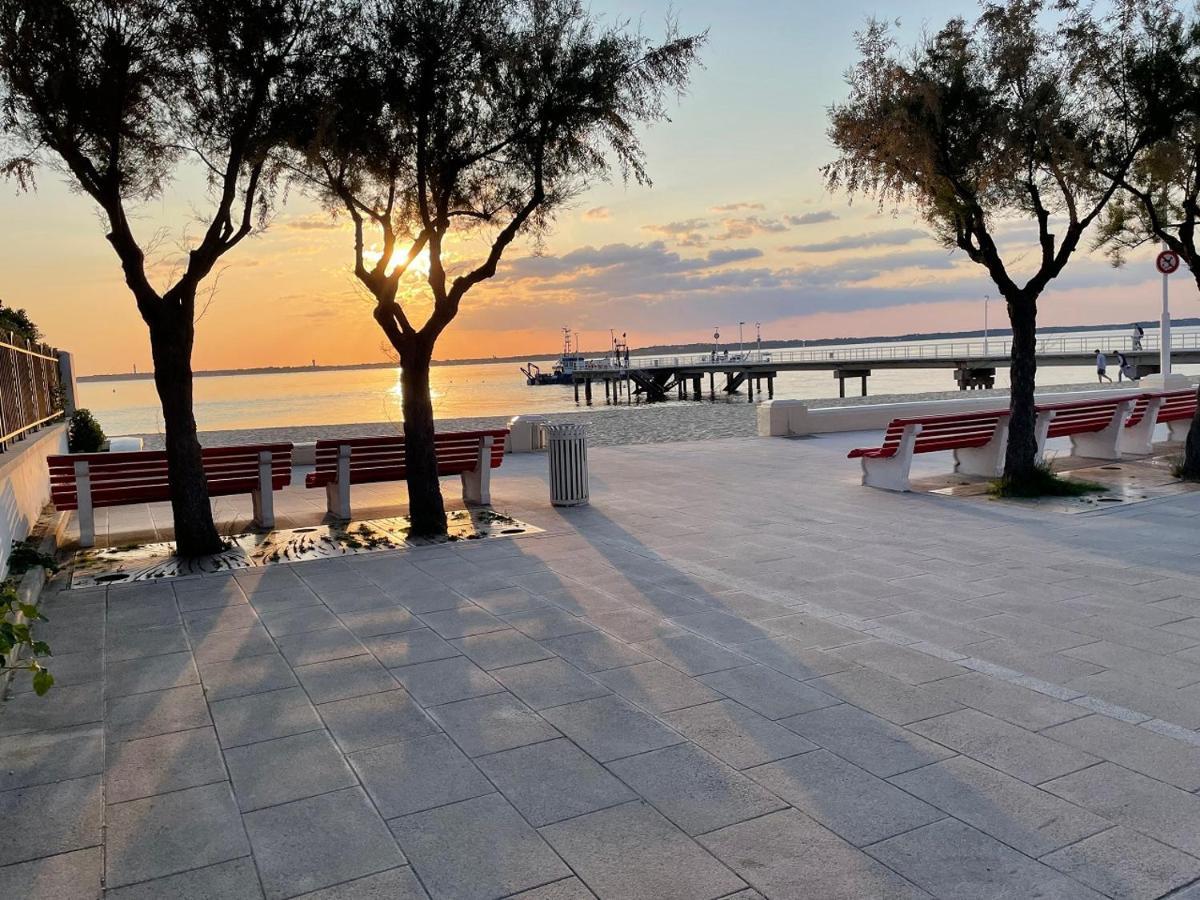Studio T1 Bis Calme Au Centre Du Moulleau Arcachon Dış mekan fotoğraf